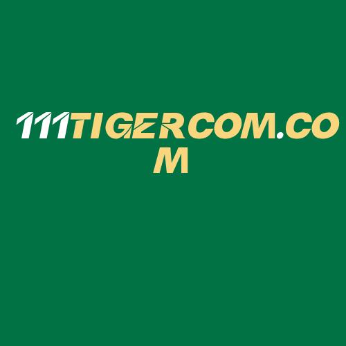 Logo da 111TIGERCOM